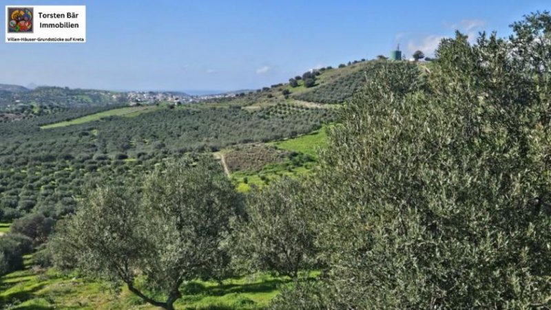 Kouses Kreta, Kouses: Baugrundstück 3.600 m² mit Baugenehmigung Grundstück kaufen